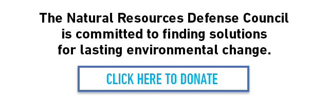 The Natural Resources Defense Council is committed to finding solutions  for lasting environmental change. CLICK HERE TO DONATE 